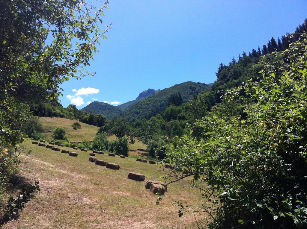 Viviendas Rurales Aldea De Dosamantes Pesaguero-La Parte Exterior foto